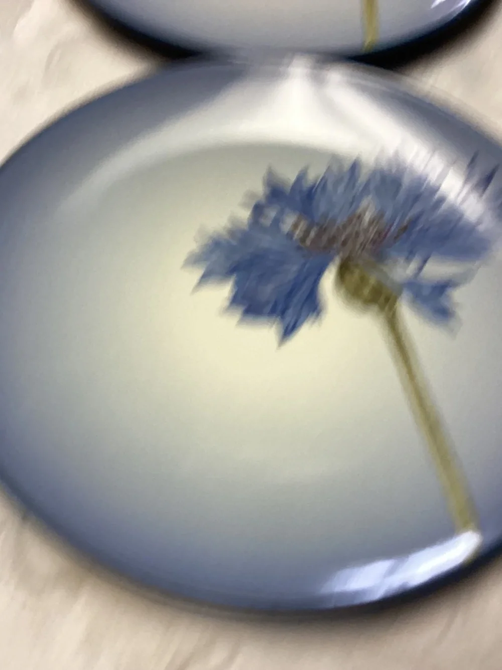 NORITAKE COLORWAVE. BLUE CORNFLOWER PLATES 4 pieces new